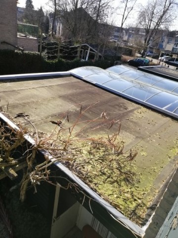 Schuur zonder in winter klein